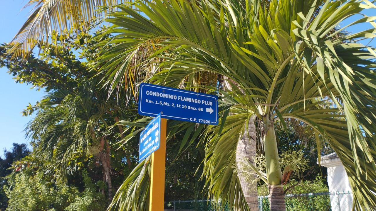 Cancun Ocean View Flamingo Plus المظهر الخارجي الصورة