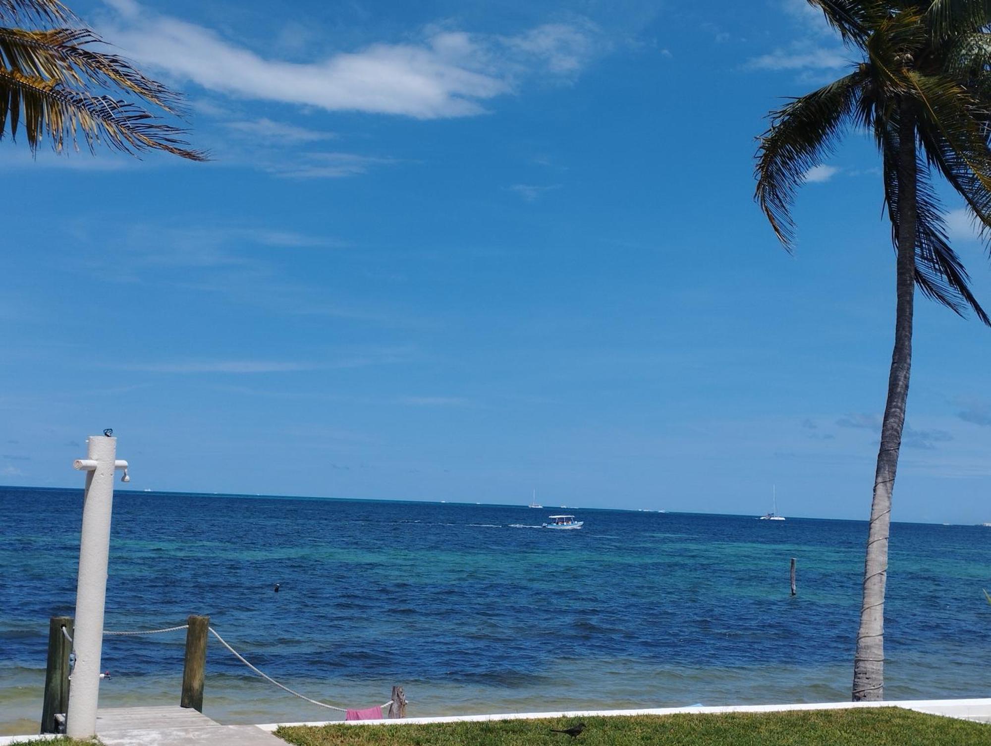 Cancun Ocean View Flamingo Plus المظهر الخارجي الصورة